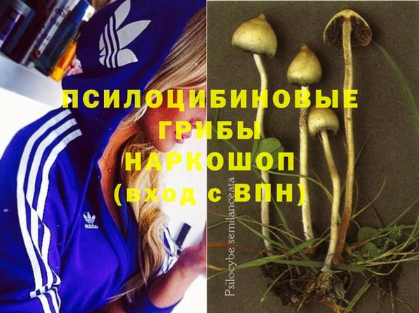 МДПВ Балабаново