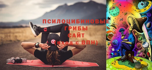 бошки Балахна