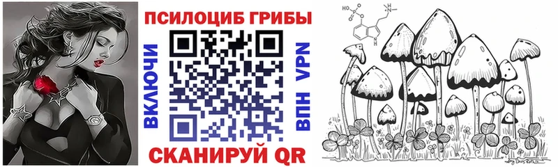 Галлюциногенные грибы мухоморы MEGA зеркало Вятские Поляны